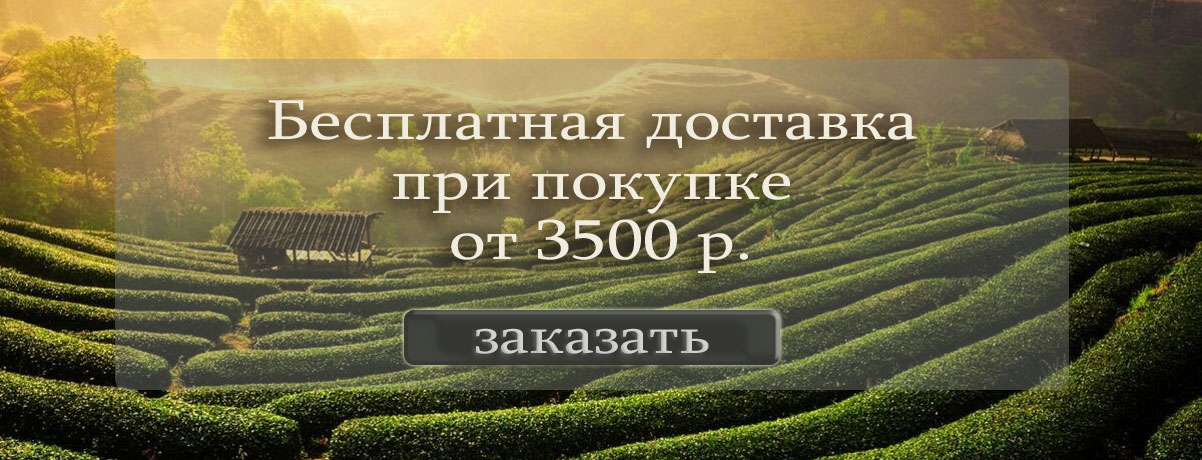 Бесплатная доставка