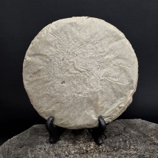 Лао шен Янь Сюнь (копченый) 2006 год. Лао шен Янь Сюнь (копченый) 2006 год.