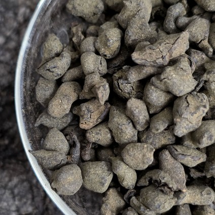 Жень Шень С