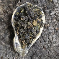 Габа Зеленая Комета Габа Зеленая Комета
