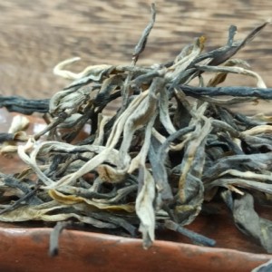 Почему Шэн пуэр горький при заваривании? Разбираемся в природе вкуса Почему Шэн пуэр горький при заваривании? Разбираемся в природе вкуса