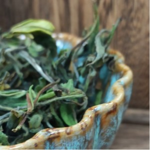 С какого чая начать знакомство с китайским чаем: гид для новичка