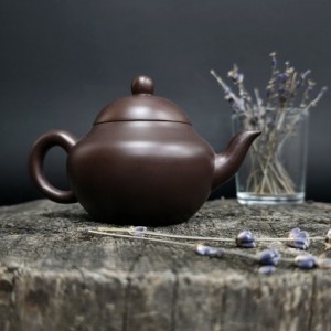 Гайвань или чайник: что выбрать новичку?