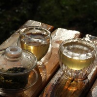 Топ-7 ошибок при заваривании чая, которые портят вкус