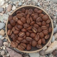 Пуэр или кофе: что выбрать для бодрости и не только.