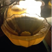 Гуандунские улуны: топография, терруар и технология