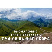 Высокогорные травы Кавказа-2: три сильных сбора