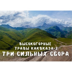 Высокогорные травы Кавказа-2: три сильных сбора