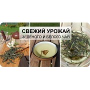 Новый урожай! Густой, с сумасшедшим ароматом зеленый и наваристый белый чай!