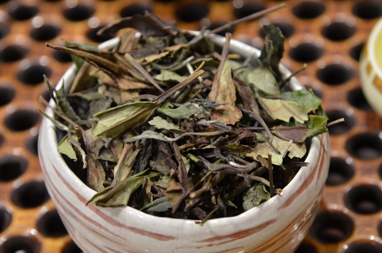Белый чай – жемчужина Поднебесной: история, сорта, полезные свойства